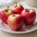 양천헬스 이미지