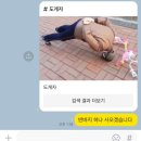 (유)세광솔라파크 | 24년 5월 1주차 주간일기: 인간실격,반바지 구매, 광화문 라이언&amp;춘식이,잠못자고 떠나는 방콕 여행