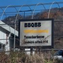 봉봉캠핑장 | [C.09] 별 잘보이는 가평 캠핑장 캠프봉봉 C-03 후기 (애견동반 가능)