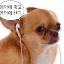 스커피
