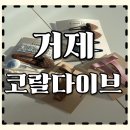 거제-거제-거제-비상-10 | 거제도)거제 체험공방 코랄다이브