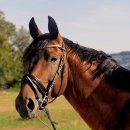 청운골프 이미지