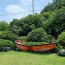 맛있는집 이미지