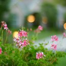 좋은사이 이미지