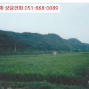임당천 이미지