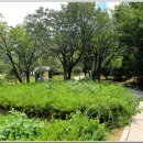 황령산유원지 생태숲 이미지