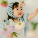 스튜디오돌