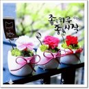 인천성심농원 | 오분명상,장애를 수행으로~.욕심이란.한강에도 독도~.중국 인기 해외 여행지.포토,위대한 고고학적 발견...