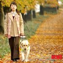 장애인실버운동센터 이미지