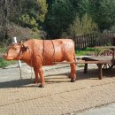 상동종로약국 이미지