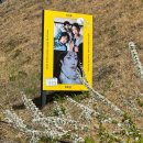 안녕여름안녕?가을 페스티벌 | 2026 춘천 KT&amp;G 상상실현 페스티벌에서 낭만 찾다!