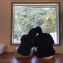 [홍천] 감성 숙소 노블레스노마드 101호 후기