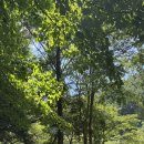 모야의숲 캠핑장 | 캠핑_no.3