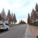 익산대로 Daum카페
