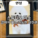 평택 사진관 추천 반려견 사진 촬영 가능한 스튜디오 미소 후기