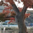 길표구화랑