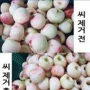 팔공산 복숭아로 착즙한 100%생복숭아즙 판매합니다^^ 이미지