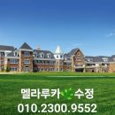 멜라루카🌿 수정 메이오 ❤️클리닉 책 후기