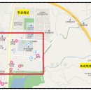 신대지약국 이미지