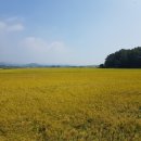 제일하이빌1차 이미지