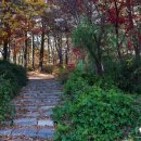 금성행복경로당 이미지