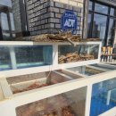 강릉어가네 | 강릉 사천어가 후기 | 대게·홍게 맛집 추천, 홍게라면·모둠 물회까지