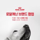 웰빙코리아푸드 이미지