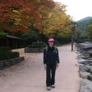 남식농장 이미지