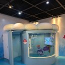 인천어린이과학관 이미지