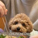 춘천별당 이미지