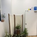차홍룸 신논현점 / 두피케어 클리닉 후기 / 강남역 미용실 / 권재이 디자이너