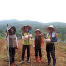 장수천농장 이미지