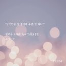 필톡 Daum카페