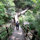 구룡계곡 순환코스 이미지