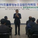 금산약초 이미지