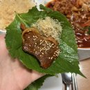 바이오팜 | 든든하고 건강하게! 자연바이오팜 오리슬라이스 × 산삼배양근