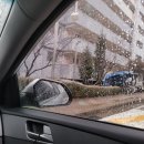 삼성 영덕연수원 2박 3일 후기- 첫째날 영덕 맛집 보배네 골목짬뽕 동광어시장