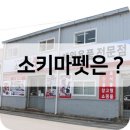 소키마펫 - 사상구 가야대로103번길 43 | 소키마펫