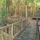 호랑산 둘레길 이미지