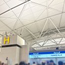 #에어로 케이 탑승 후기_인천공항 to 하노이 노이바이 공항