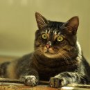 쿠팡 노래연습장 이미지