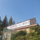 추추 추어탕 조치원홍대점 | 세종맛집 조치원맛집 추추 추어탕 보양식맛집