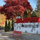 강원도립화목원 | 춘천 단풍구경 강원도립화목원 가을 당일치기 여행