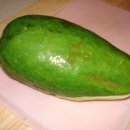 그린파파야 이미지