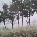 녹색산