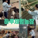 로또농장 | 대구근교 동물먹이주기체험 칠곡 하루체험농장 아기랑 가볼만한곳