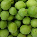 억대농장 이미지