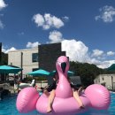 푸름한우 이미지