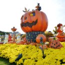 용인시 관광안내소(에버랜드) 이미지