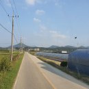 고당1리 이미지